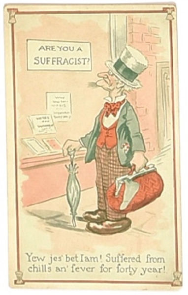 Are You a Suffragist Postcard?