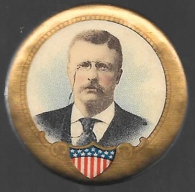 Theodore Roosevelt Shield Pin 