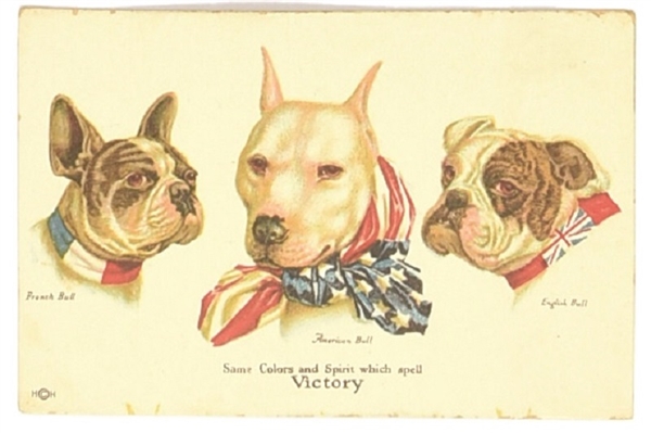 Victory Dogs World War I Postcard