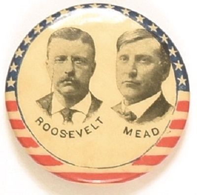 Theodore Roosevelt, Mead Washington Coattail