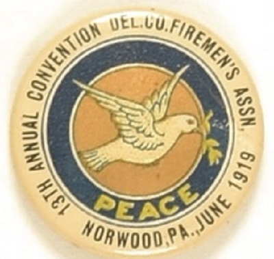 Delaware County. Pa. Firemen’s Association 1919 Peace Pin