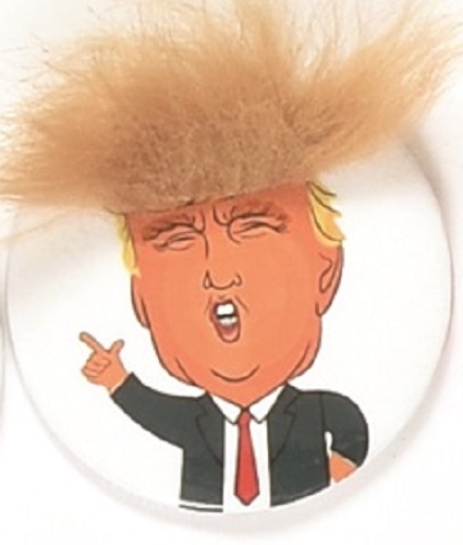 Donald Trump the Hairdo