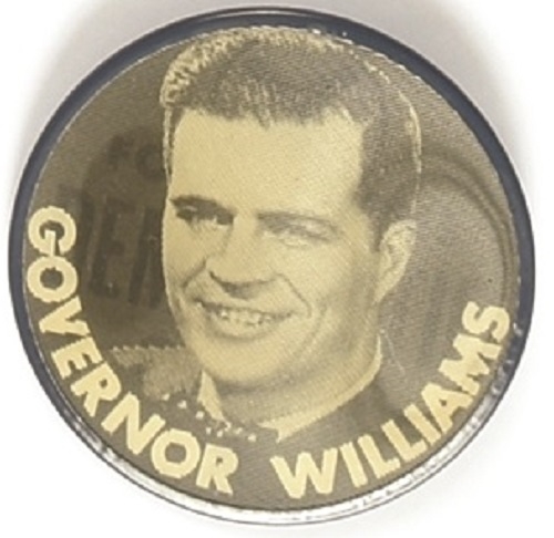 Williams Democratic Slate Flasher