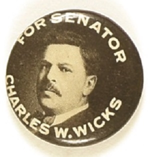 Charles Wicks for Senator, New York