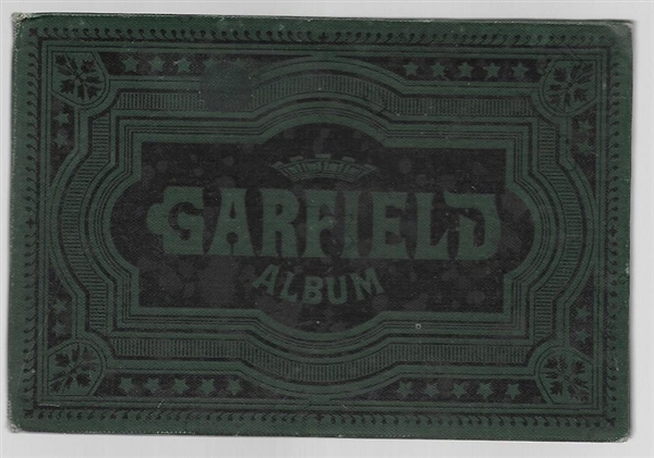 Garfield Album Picture Book