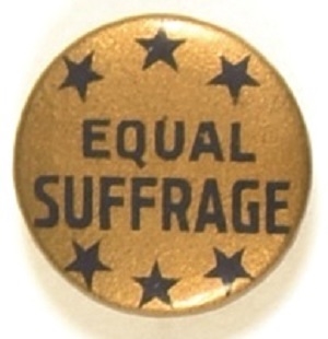 Equal Suffrage Six Stars Pin