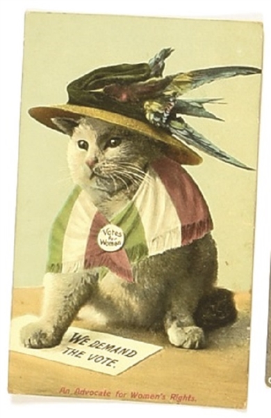 We Demand the Vote Suffrage Cat Postcard