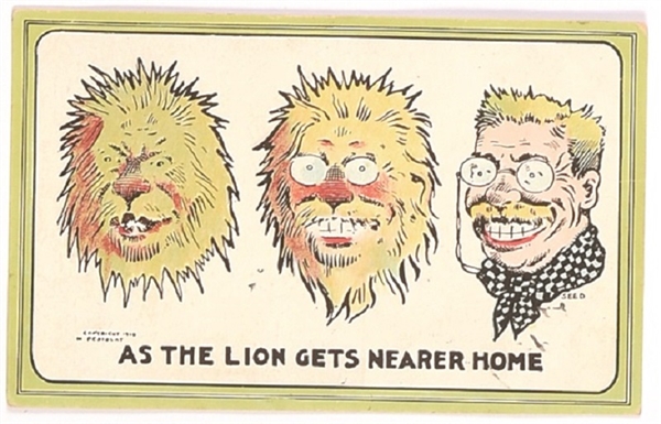Roosevelt Lion Heads Home Safari Postcard