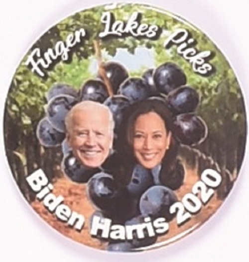 Finger Lakes for Biden, Harris