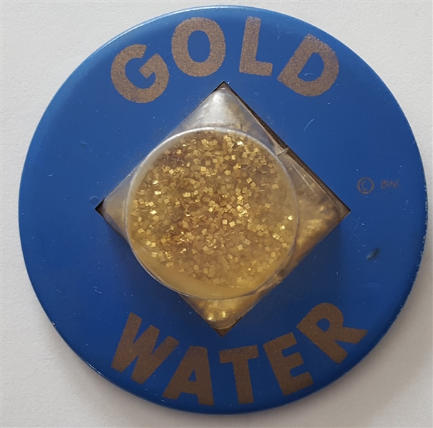 Goldwater Plastic Dome Large Pinback 