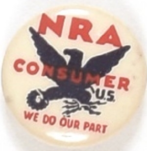 NRA Consumer Smaller Pin