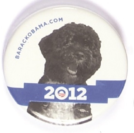 Bo Obama First Dog