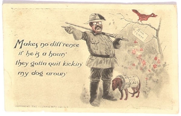 Roosevelt Quit Kickin My Dog Aroun Postcard