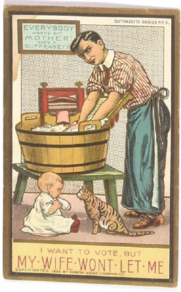 I Want to Vote Anti Suffrage Postcard