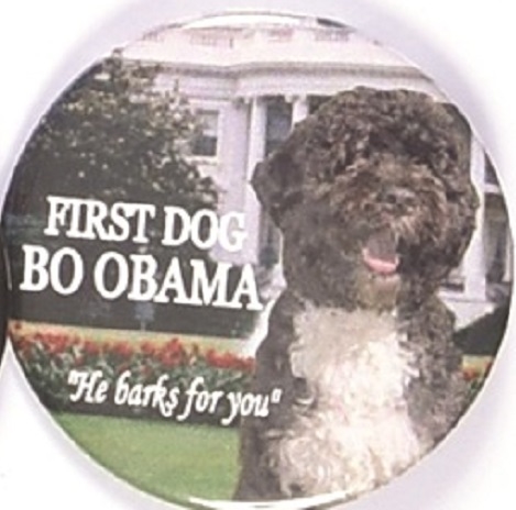 First Dog Bo Obama