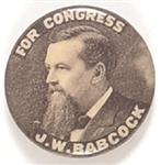 Babcock for Congress, Wisconsin