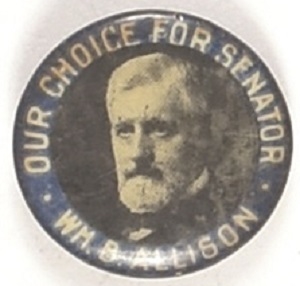 William Allison Our Choice for Senator
