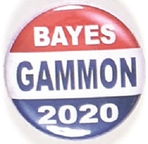 Bayes and Gammon 2020