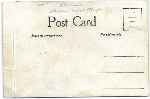 Wilson, Hughes 1916 Flasher Postcard