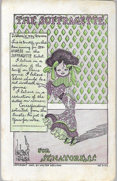 The Suffragette for Senatoress Postcard
