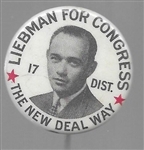 Liebman for Congress New Deal