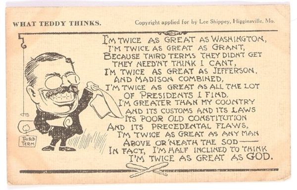 Roosevelt What Teddy Thinks Postcard