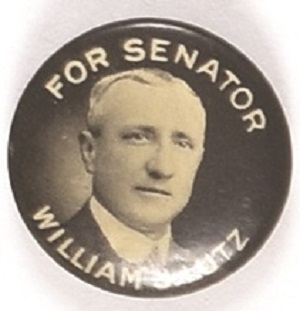 Lutz for Senator, Delaware