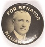 Lutz for Senator, Delaware