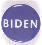 Joe Biden, Delaware