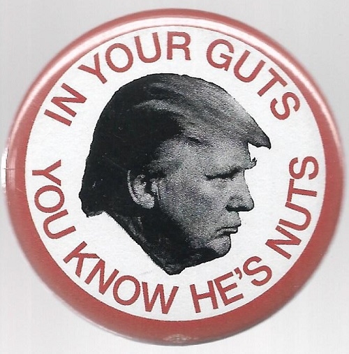 Trump in Your Guts You Know Hes Nuts