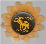 Landon, Knox Pin and Sunflower 