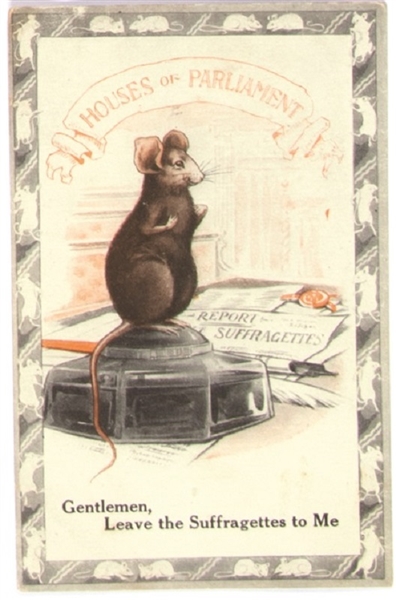 Suffrage English Mouse Postcard