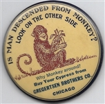 Chicago Monkey Evolution Ad Mirror