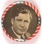 Willkie Stars and Stripes, Gray Background