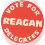 Vote for Reagan Delegates