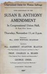 Susan B. Anthony Amendment New York Flyer