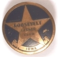 Roosevelt, Garner Club Iowa