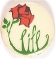 Right to Life Rose Pin