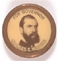 Hughes for NY Governor Celluloid