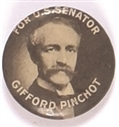 Pinchot for Senate, Pennsylvania