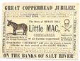 McClellan Great Copperhead Jubilee Card
