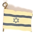 Jewish National Fund Flag Pin