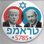 Trump, Netanyahu Israel Pin