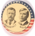 Roosevelt, Mead Washington Coattail