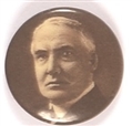 Warren Harding Sepia Celluloid