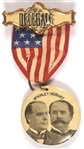 McKinley, Hobart Sound Money Jugate, Delegate Pin