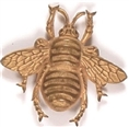 McKinley Gold Bug Pin