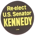 Re-Elect Kennedy Massachusetts Sticker