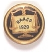 NAACP 1920 Scales of Justice Pin