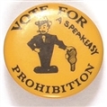 Prohibition Vote for a Speakeasy